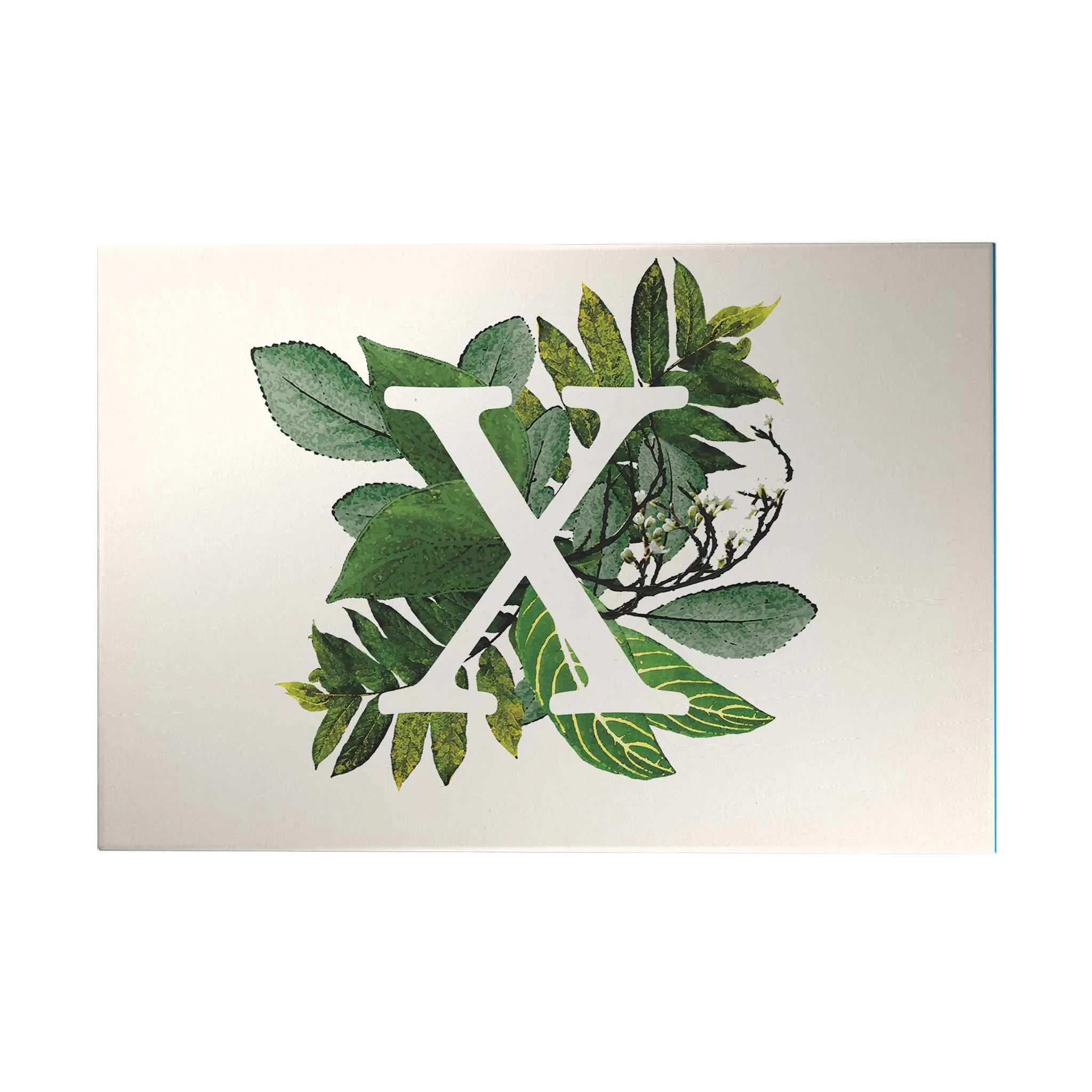 Botanical Monogram Decoposter