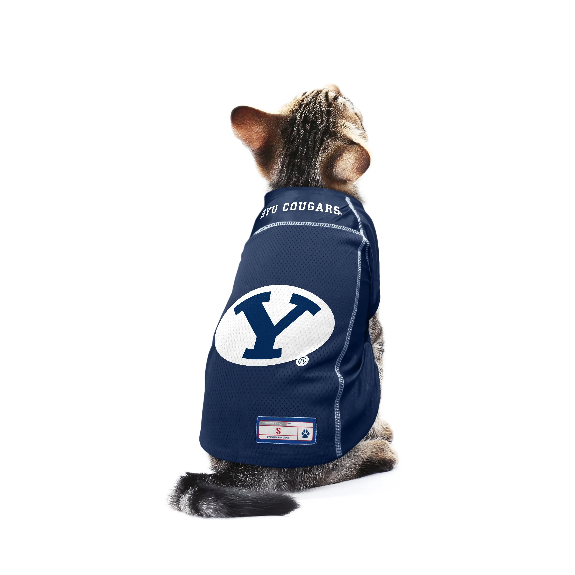 Brigham Young University Pet Jersey