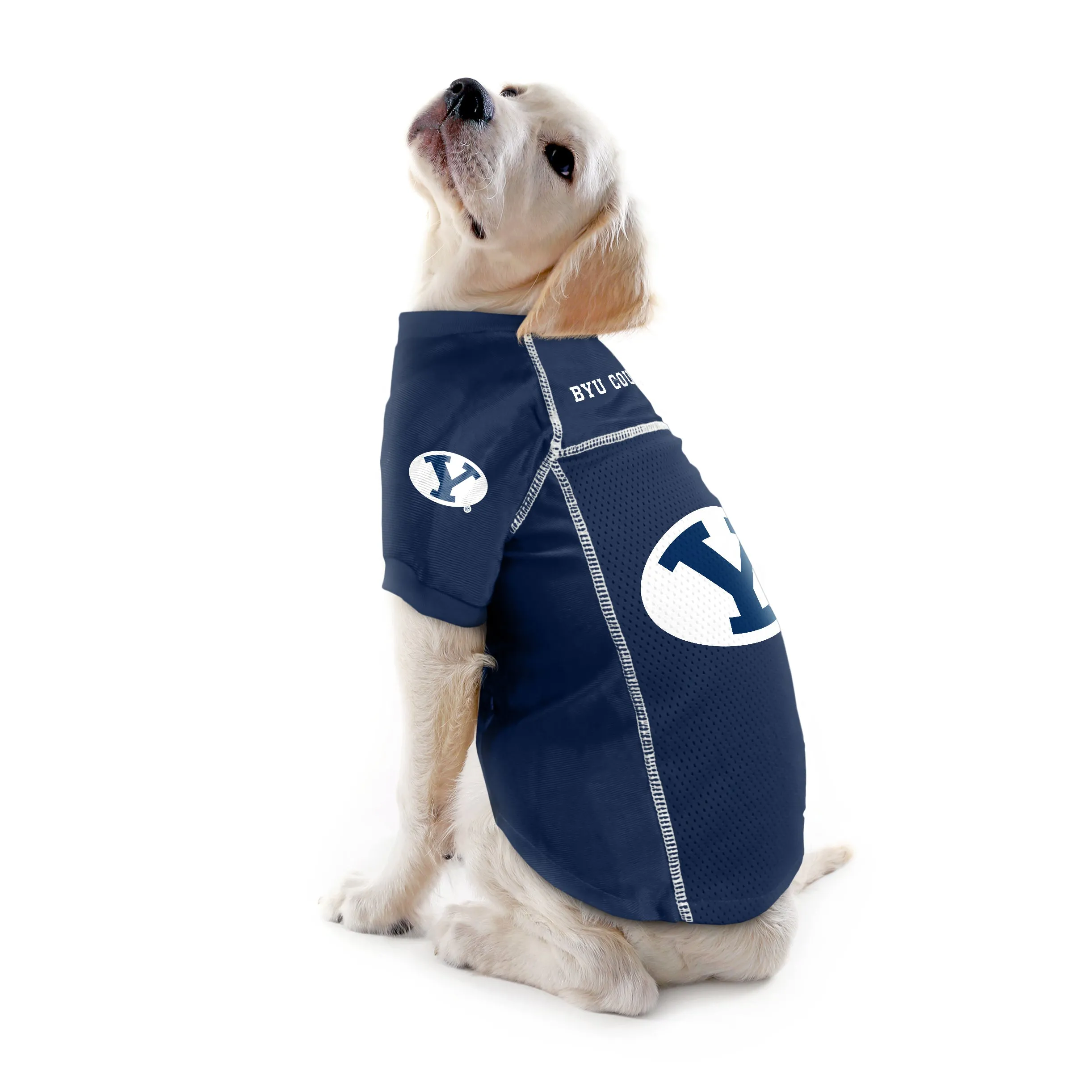 Brigham Young University Pet Jersey