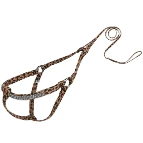 Cheetah Giltmore Step N Go Leash Harness